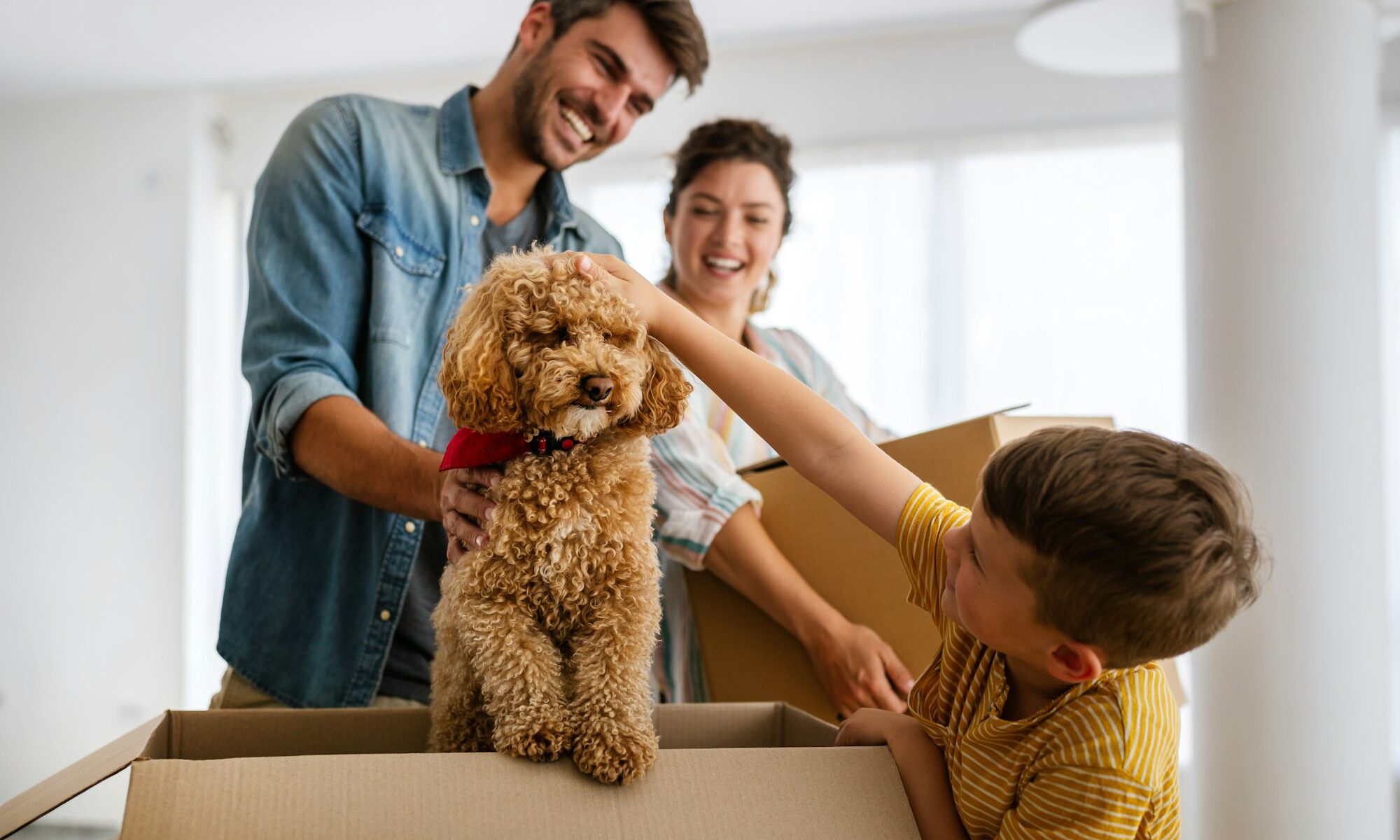 Husband and wife and their son moving with pets in new home