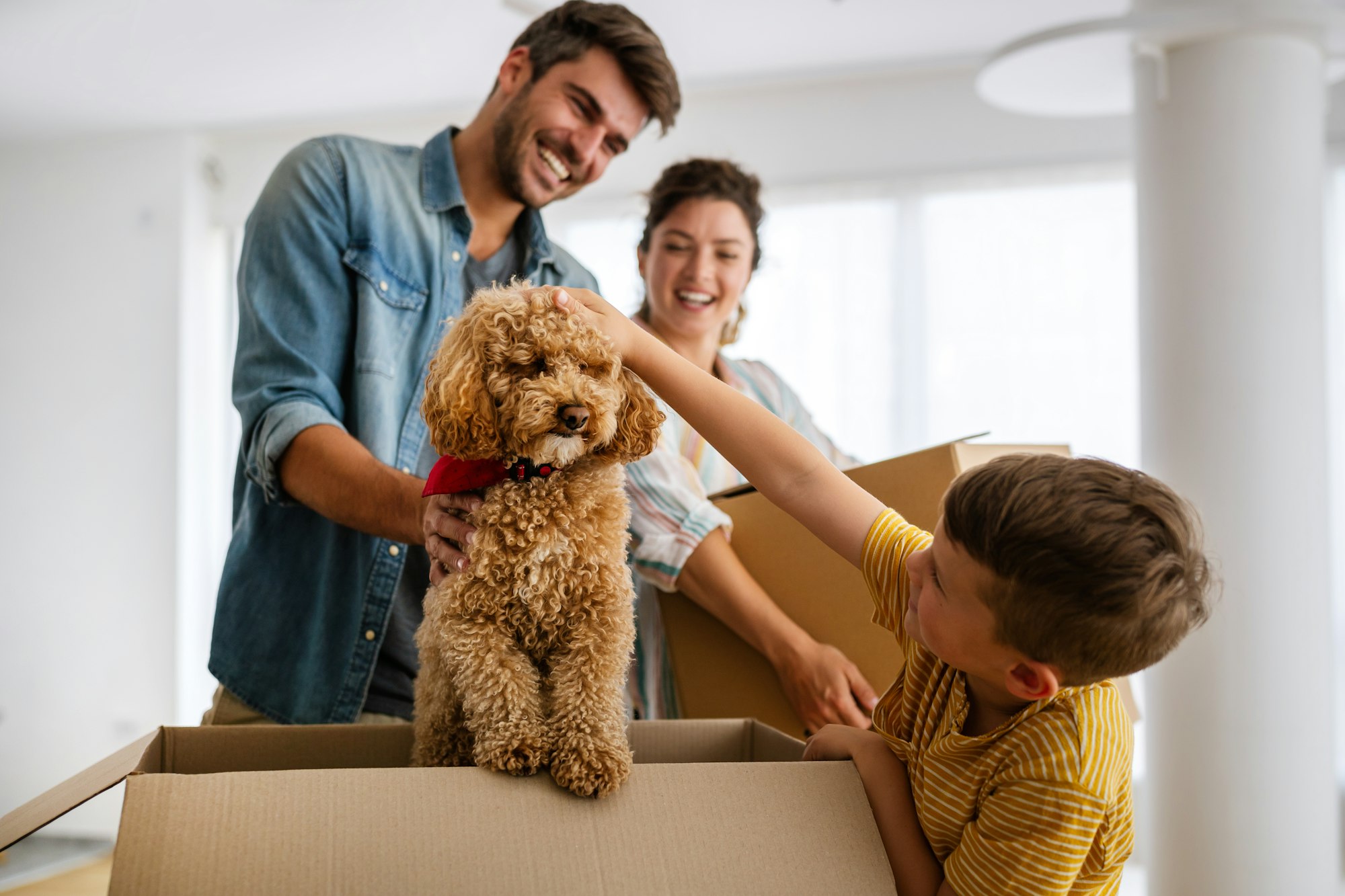 Husband and wife and their son moving with pets in new home